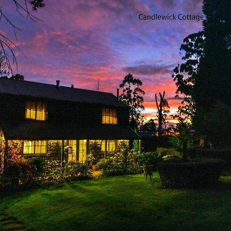Observatory Cottages Mount Dandenong Bagian luar foto