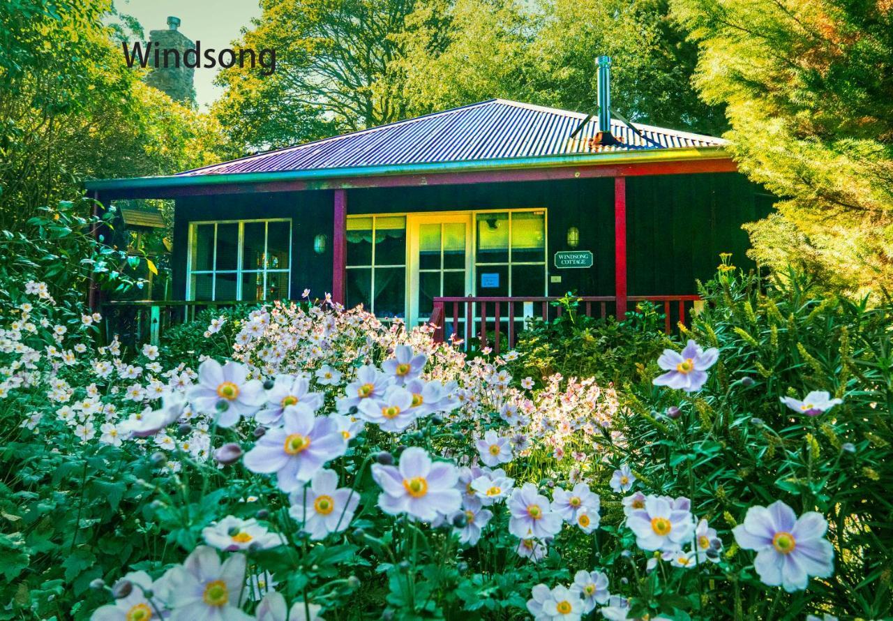Observatory Cottages Mount Dandenong Bagian luar foto