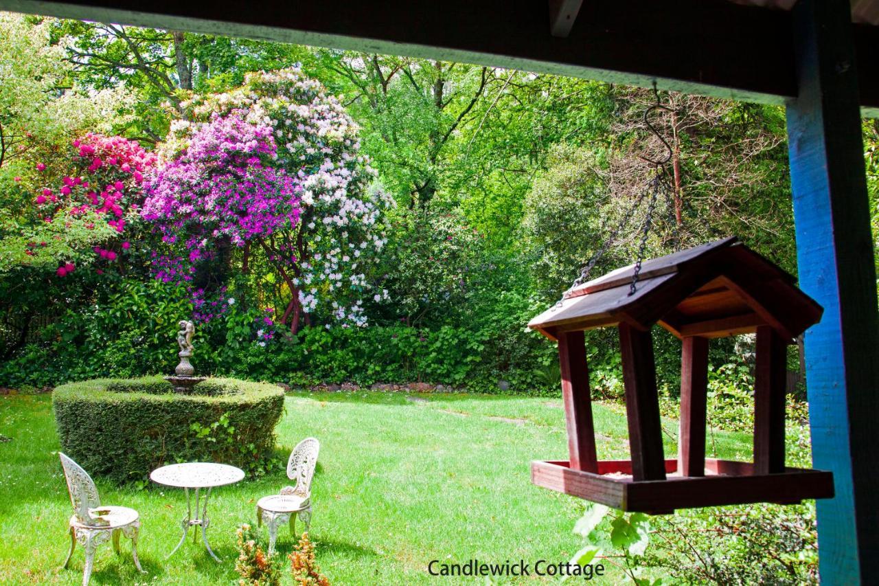 Observatory Cottages Mount Dandenong Bagian luar foto