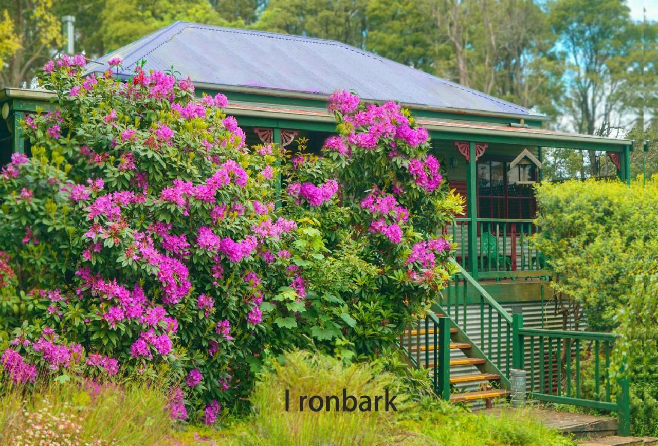 Observatory Cottages Mount Dandenong Bagian luar foto
