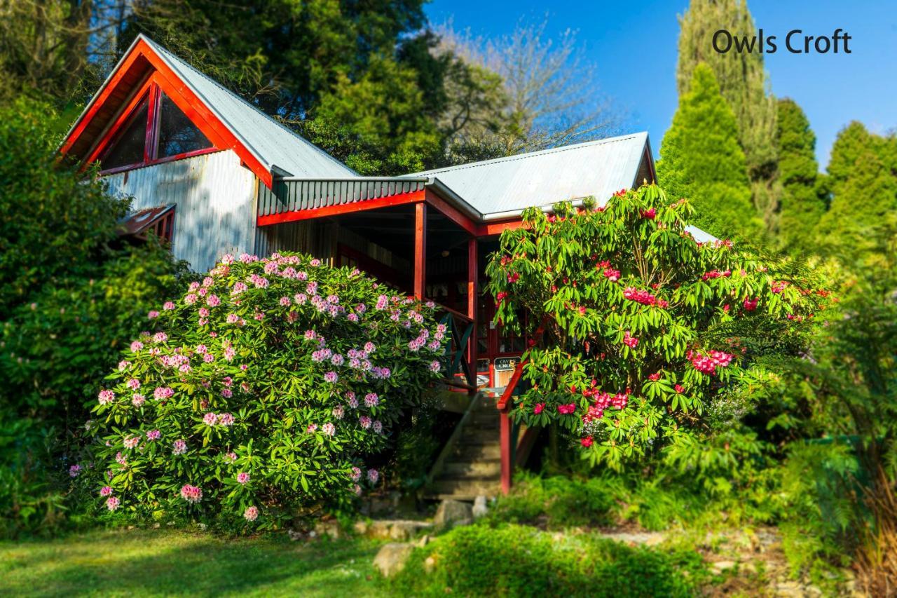 Observatory Cottages Mount Dandenong Bagian luar foto