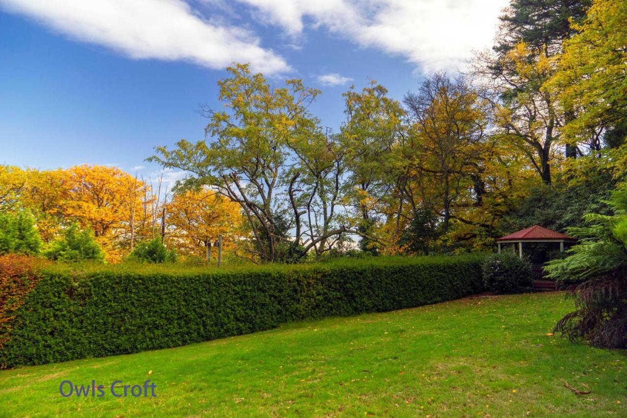Observatory Cottages Mount Dandenong Bagian luar foto