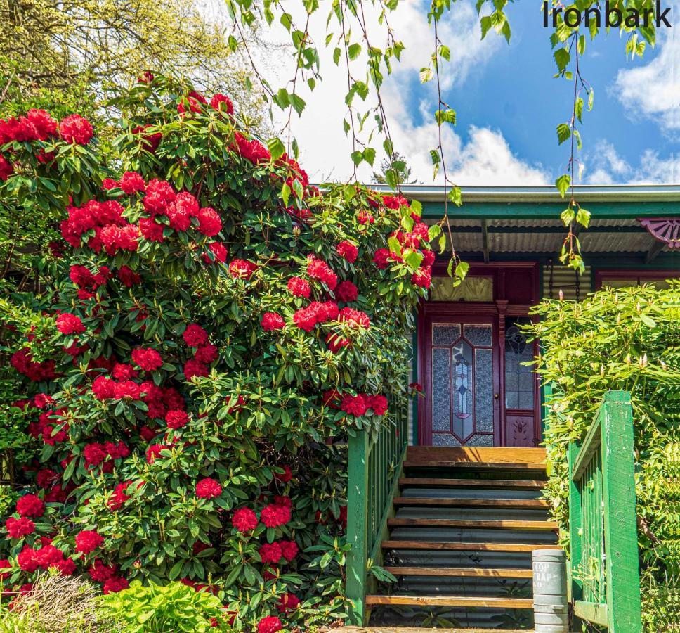 Observatory Cottages Mount Dandenong Bagian luar foto