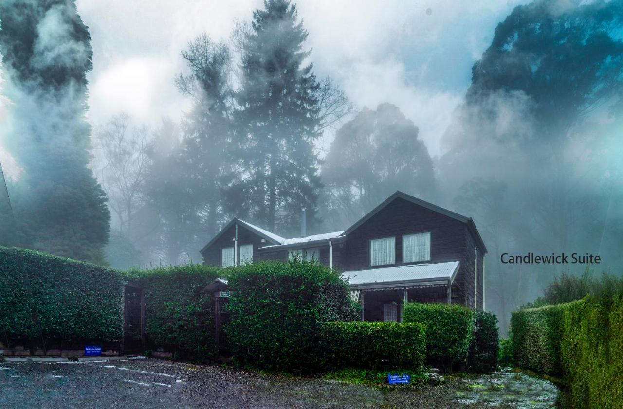 Observatory Cottages Mount Dandenong Bagian luar foto