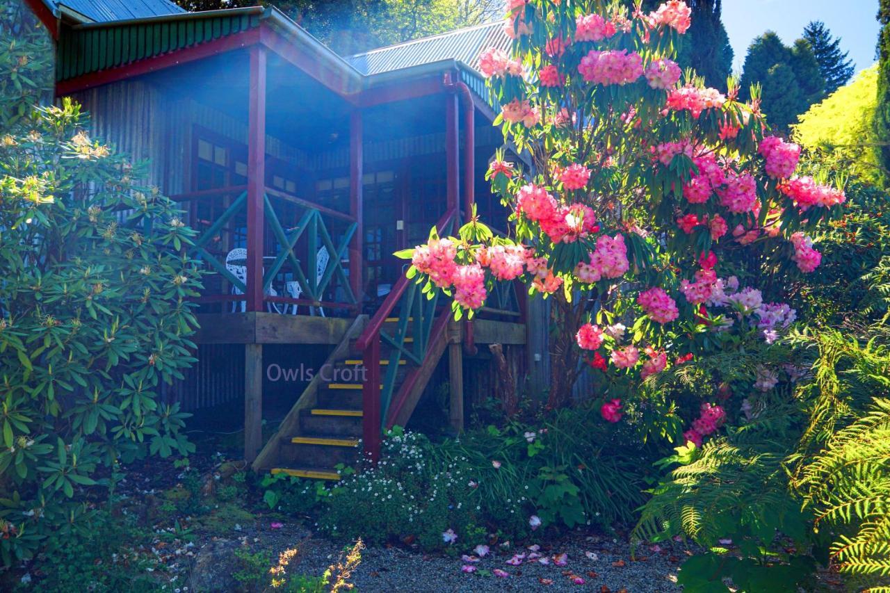 Observatory Cottages Mount Dandenong Bagian luar foto