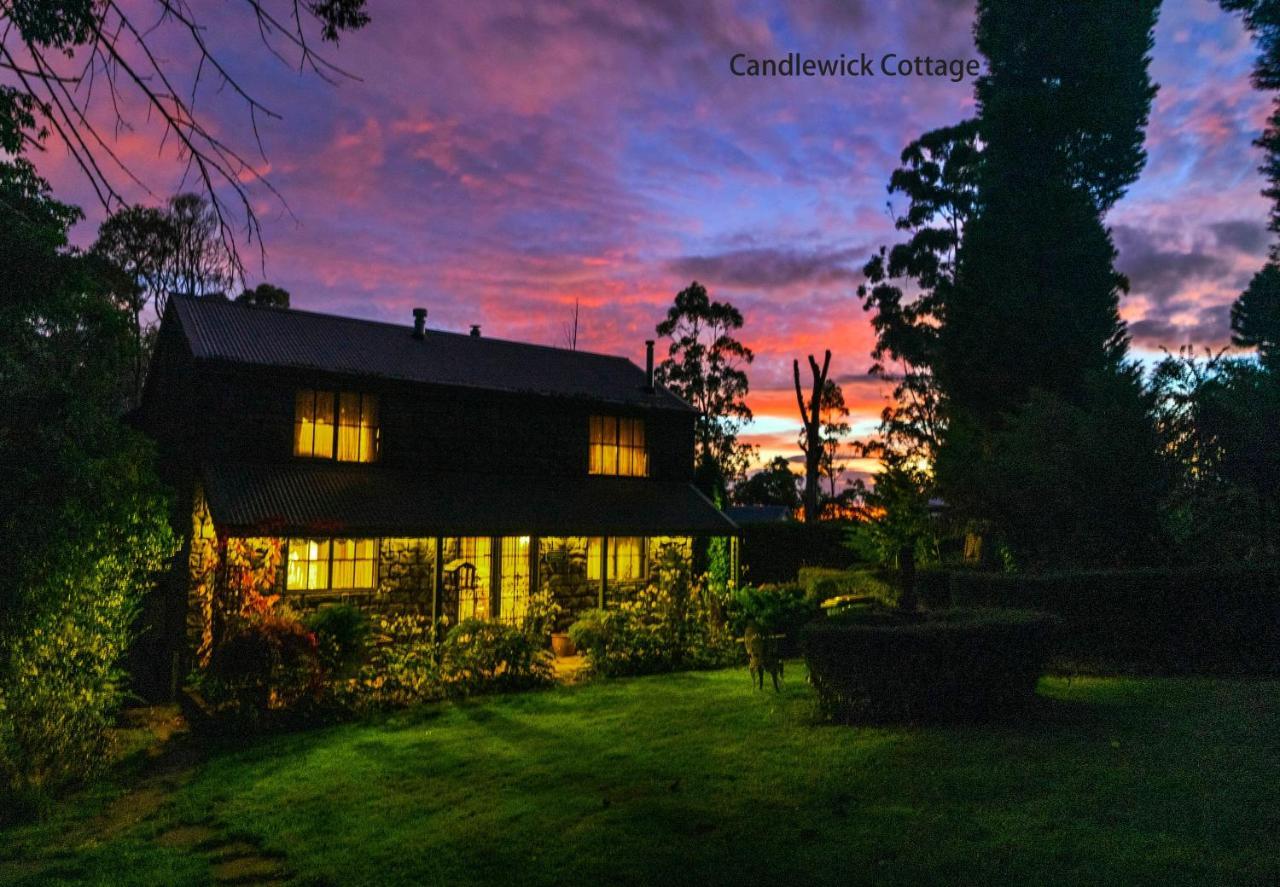 Observatory Cottages Mount Dandenong Bagian luar foto