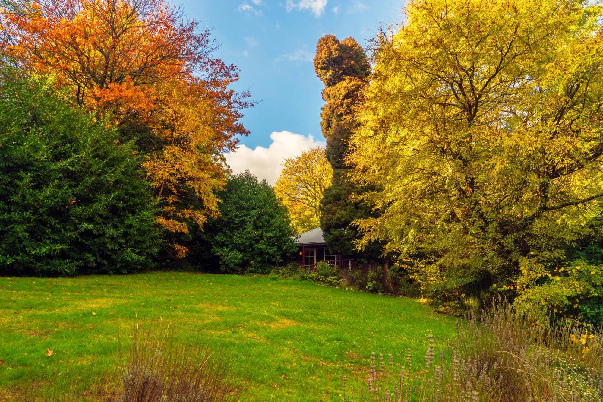 Observatory Cottages Mount Dandenong Ruang foto