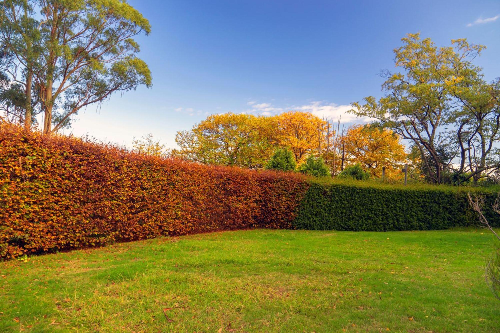 Observatory Cottages Mount Dandenong Bagian luar foto